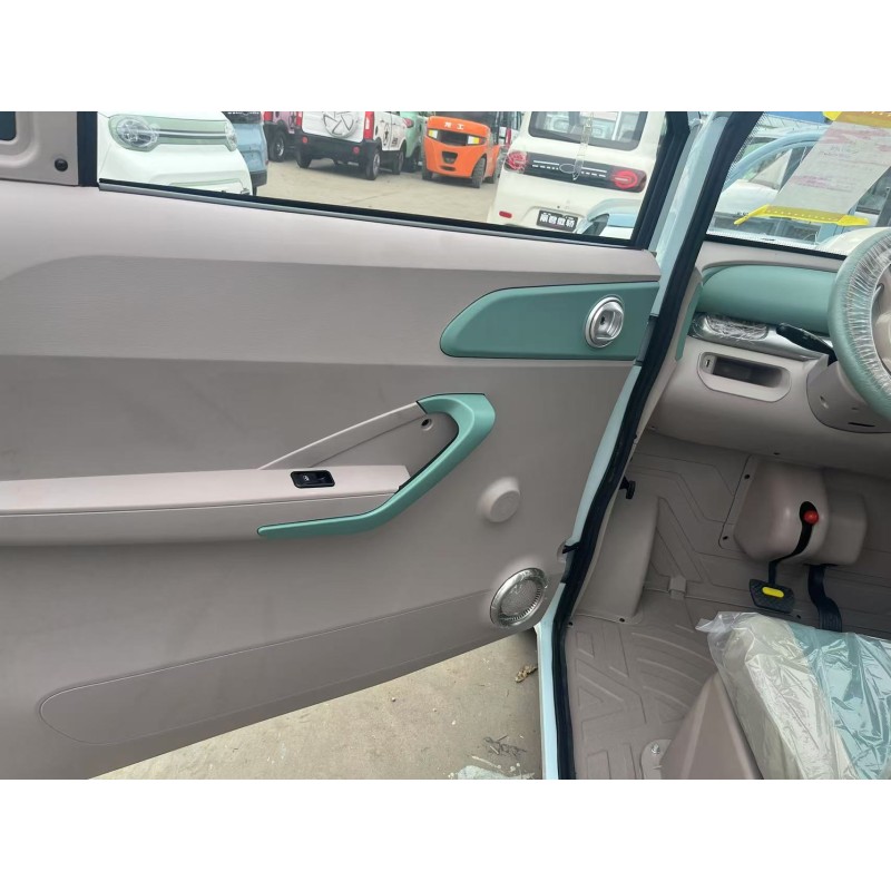 Electric Car Factory - 2 Door 4 Seater 2024