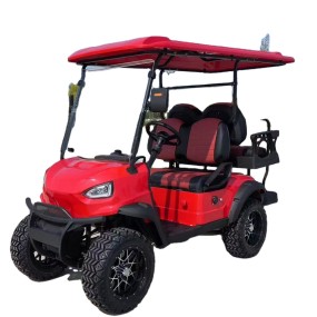 Golf Cart Factory - 48V 2-8 Seats Street Legal