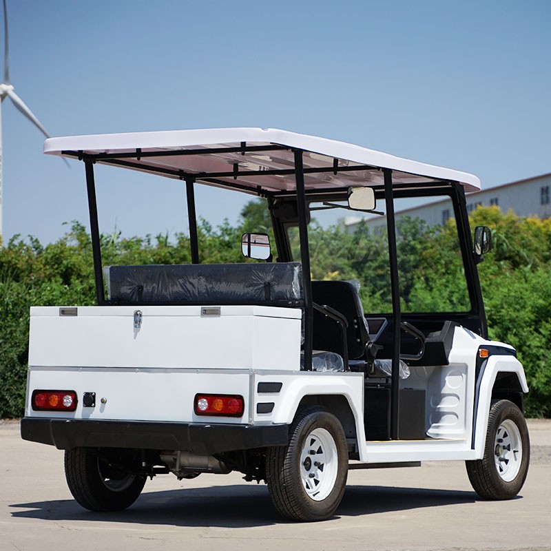 Electric Golf Cart Manufacturer - Mini 2 Seater