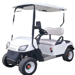 Golf Cart Supplier - RTS Electric Cart Wholesale