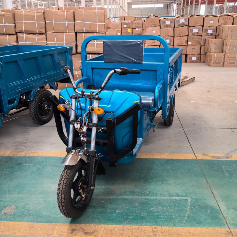 Electric Tricycle Factory - 1000W 3-Wheel Motorcycle OEM