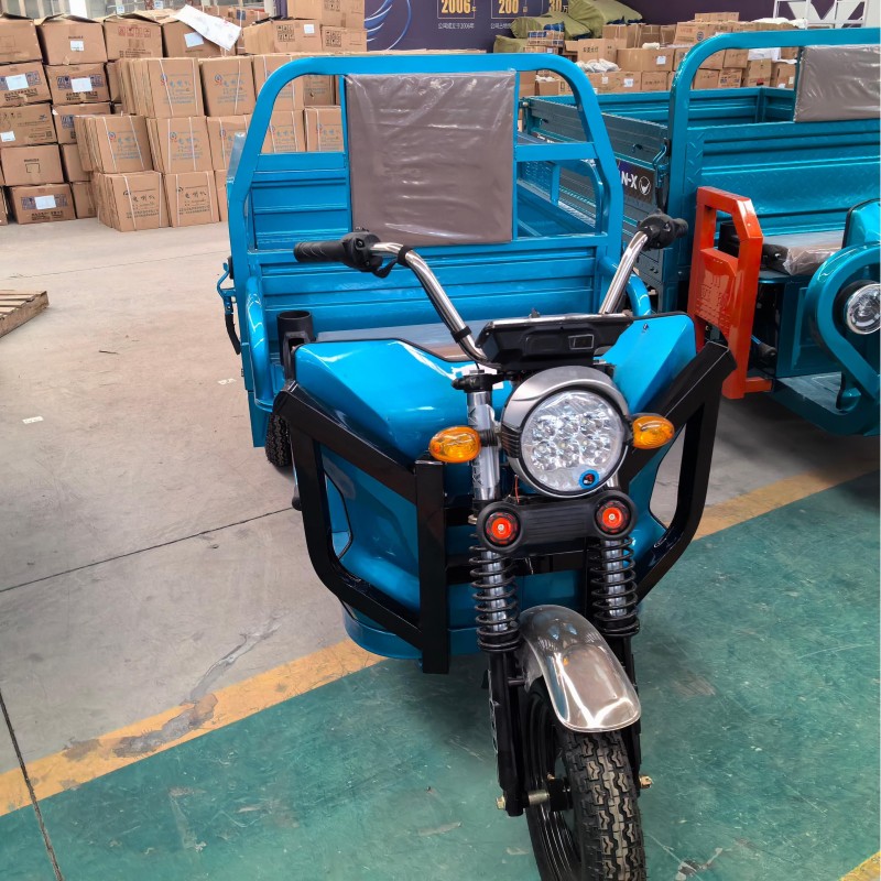 Electric Tricycle Supplier - 3-Wheel Cargo Bike Custom