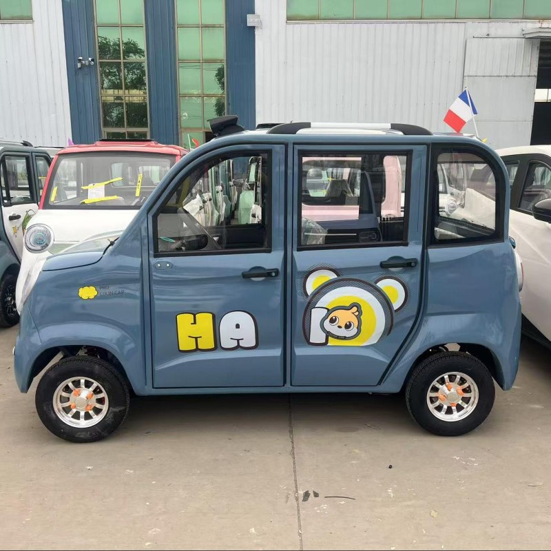 Electric Mini Car Manufacturer - 4 Wheel SUV