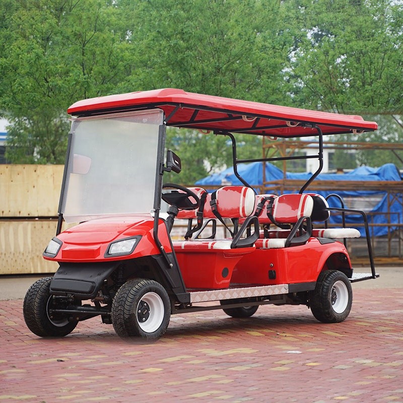 Electric Buggy Supplier - Golfers Buggy Custom