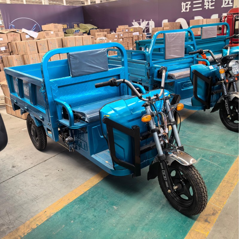Electric Cargo Tricycle Factory - 60V 1000W Adult Transport