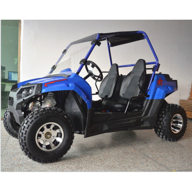 Quad Bike Manufacturer - 200cc 300cc Buggy