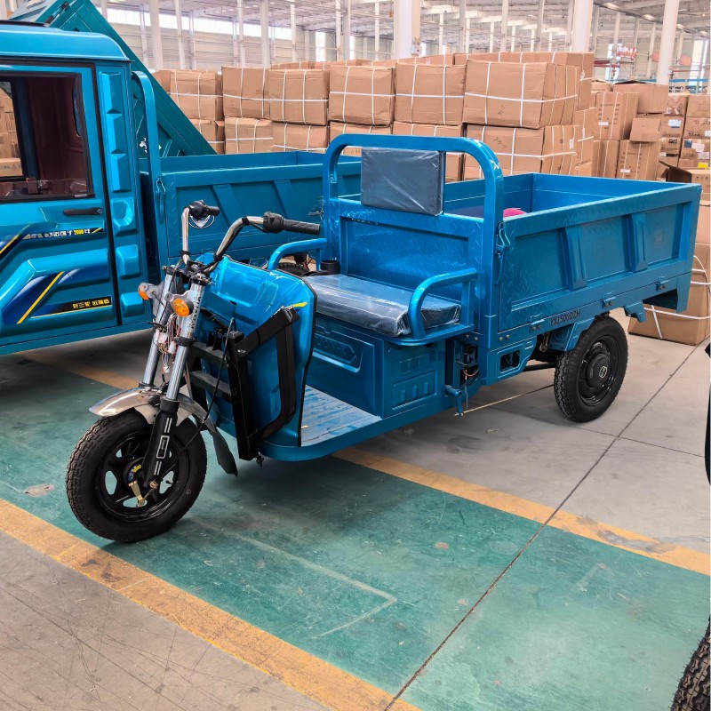 Electric Tricycle Factory - 60V 1000W 3-Wheel Cargo Bike