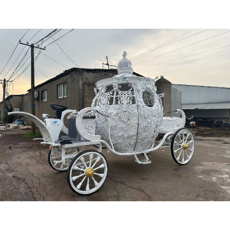 Wedding Carriage Manufacturer - Sightseeing Vehicle