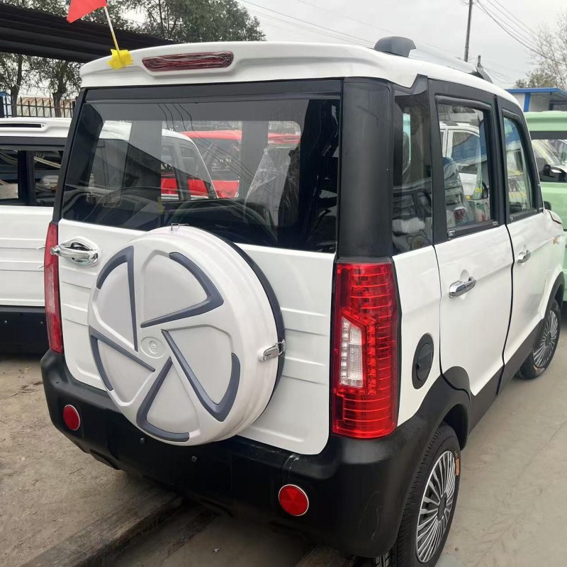 New Energy Car Manufacturer - 5-door 5-seater