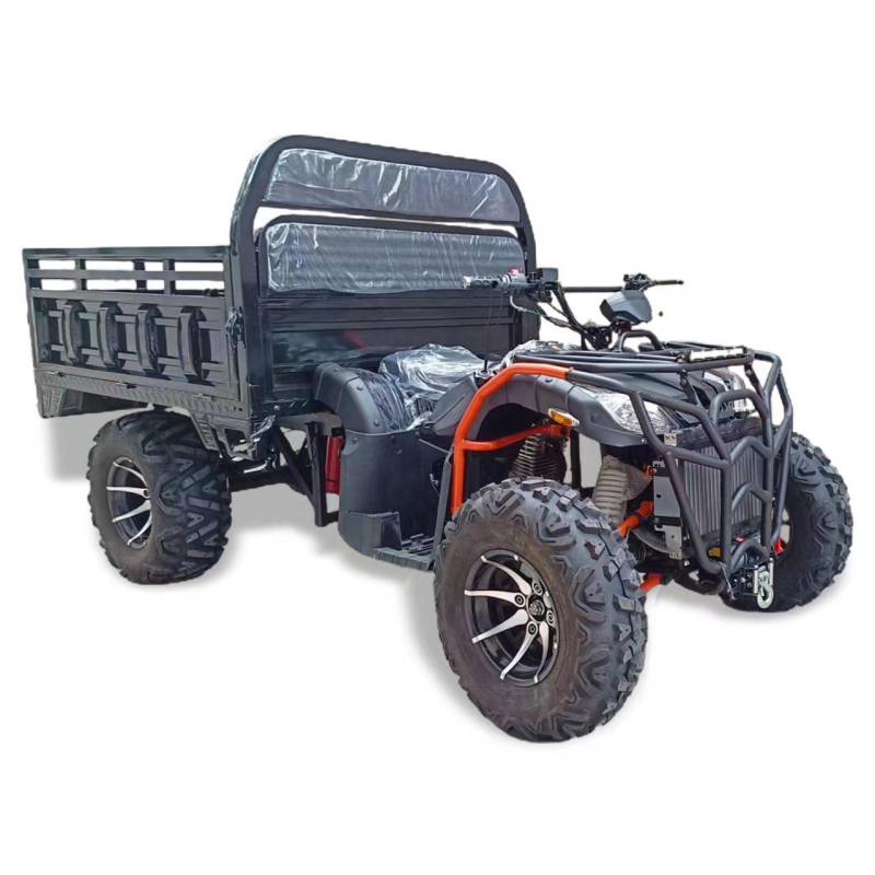 Dune Buggy Factory - 200-300cc 4 Seater