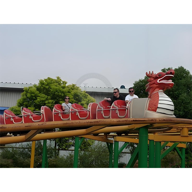 Roller Coaster Manufacturer - Large Family Outdoor Playground