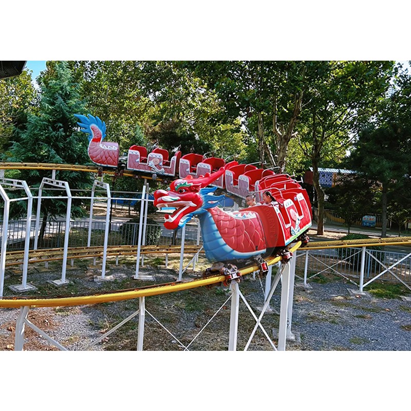 Roller Coaster Manufacturer - Large Family Outdoor Playground