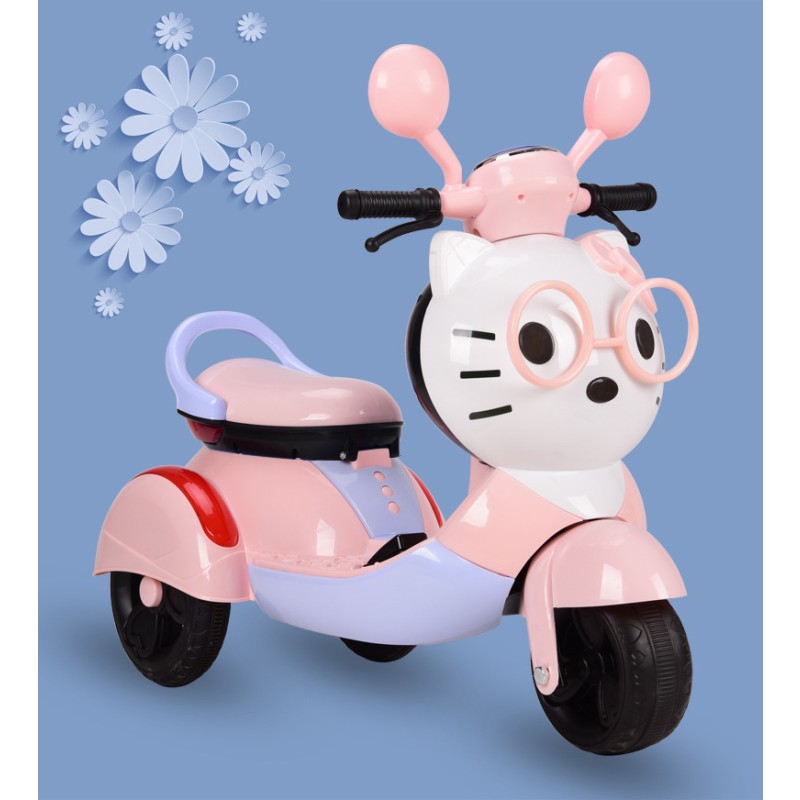 Electric Car Supplier - Charging 3 Wheels 2-8Y