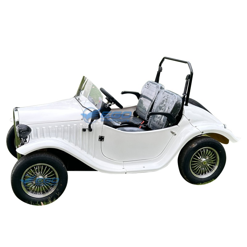 Classic Car Factory - Mini Two Seats Outdoor Sightseeing Car