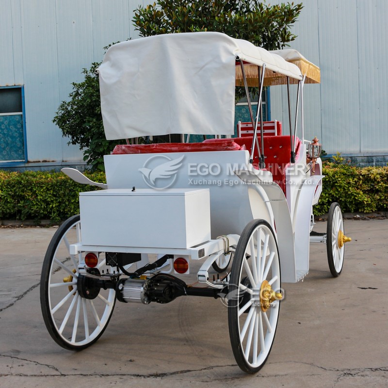 Sightseeing Carriage Manufacturer - Custom Electric Comfortable Carriage