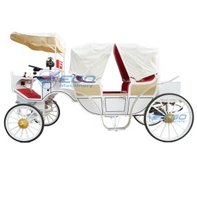 Sightseeing Carriage Manufacturer - Custom Electric Comfortable Carriage