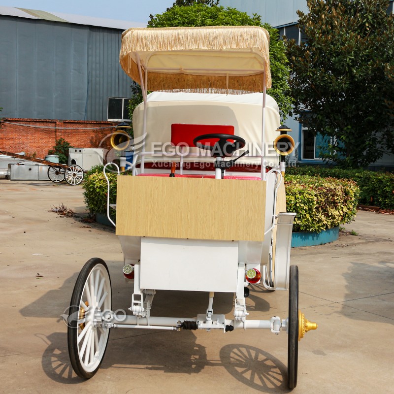 Sightseeing Carriage Manufacturer - Custom Electric Comfortable Carriage