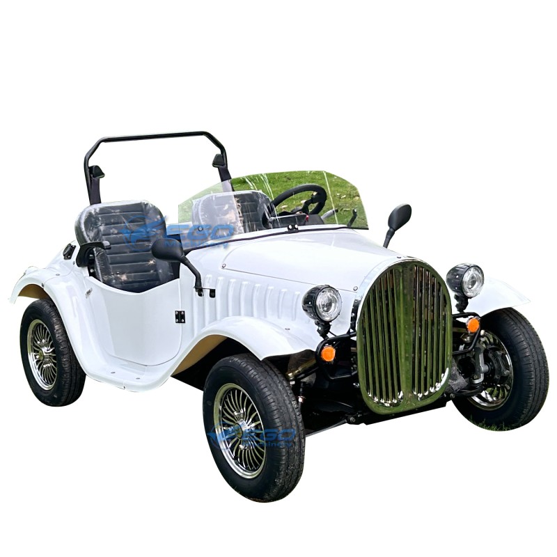 Classic Car Factory - Mini Two Seats Outdoor Sightseeing Car