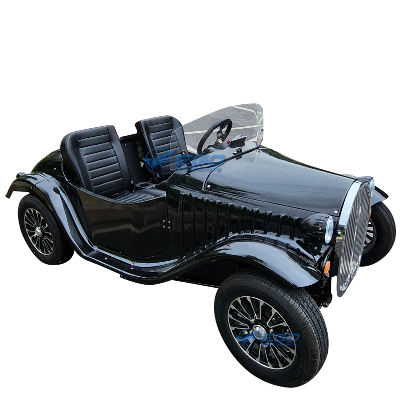 Classic Car Factory - Mini Two Seats Outdoor Sightseeing Car