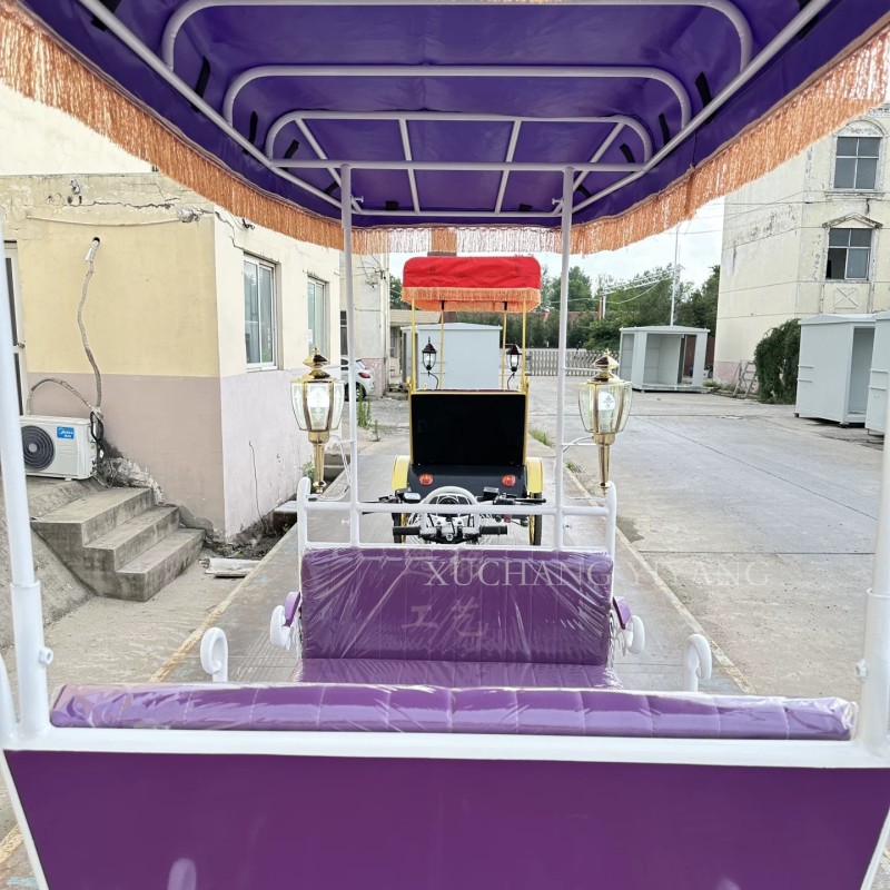 Electric Rickshaw Supplier - 48V 1000W 4 Passenger