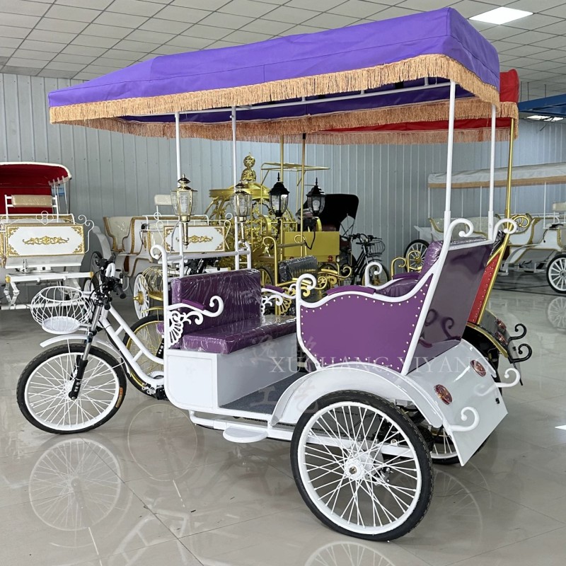 Pedicab Supplier - 5 Seater Passenger Rickshaw