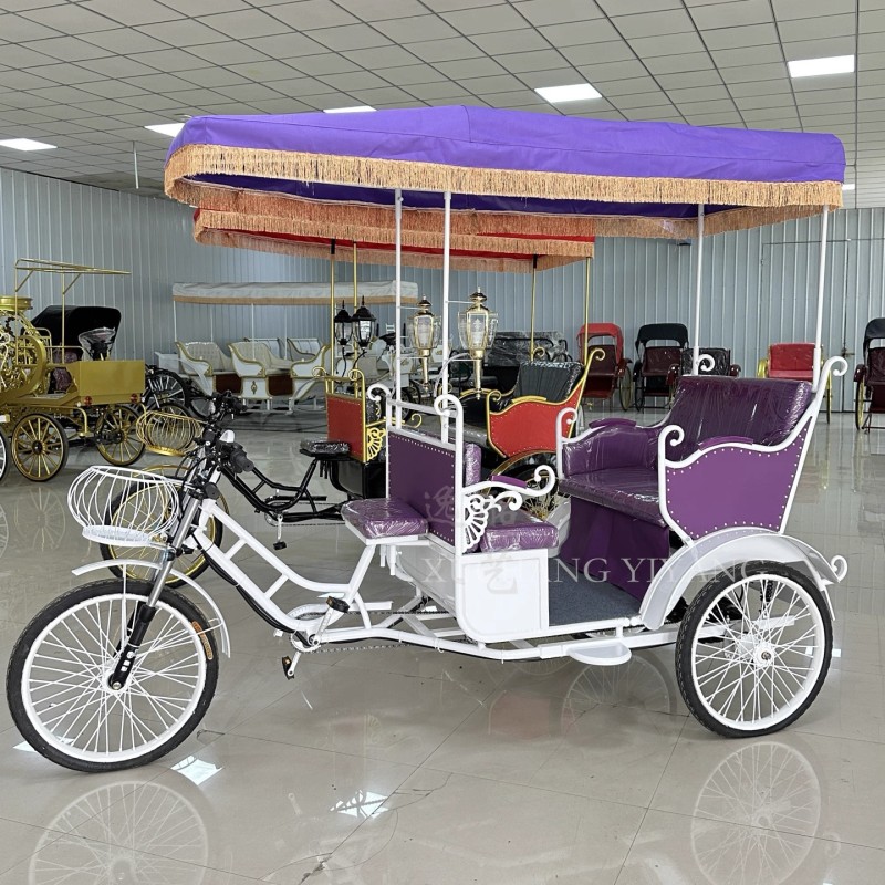 Pedicab Supplier - Elegant Open Body Good Price