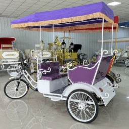 Electric Rickshaw Manufacturer - 3 Person 4 Seats