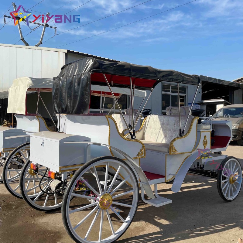 Horse Carriage Manufacturer - Steel Wagon Outdoor