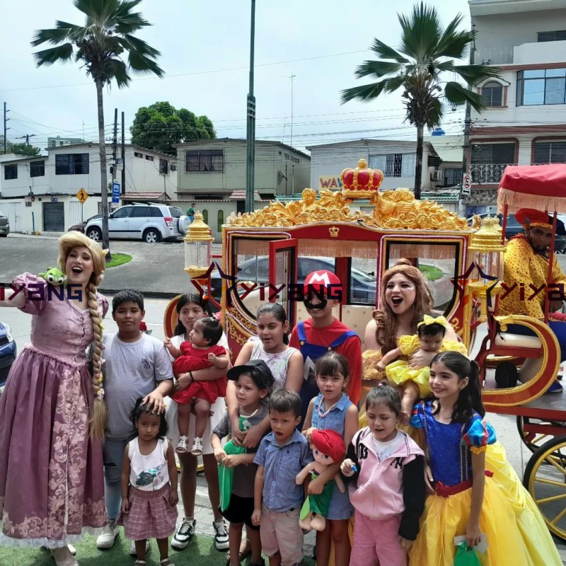 Horse Carriage Supplier - Classic Style Soft Seat