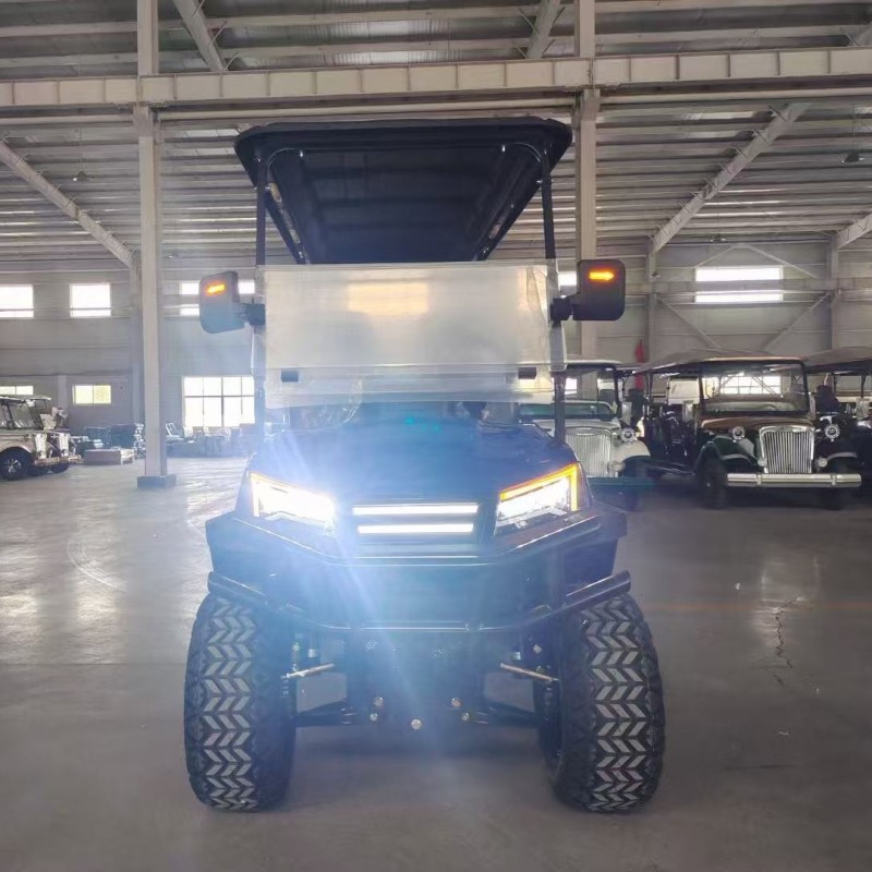 Golf Cart Manufacturer - 2025 Off Road Street Legal Lithium Battery