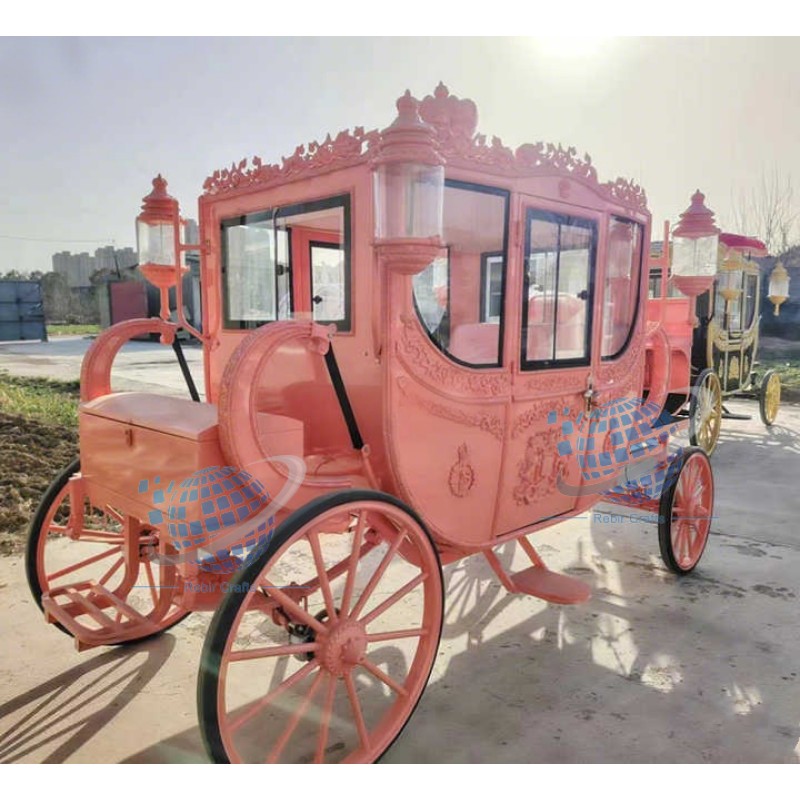 Princess Carriage Manufacturer - New Design Cinderella Special Transport
