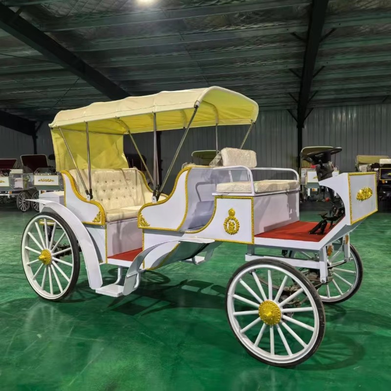 Electric Carriage Factory - Wholesale Theme Park Wedding Sightseeing