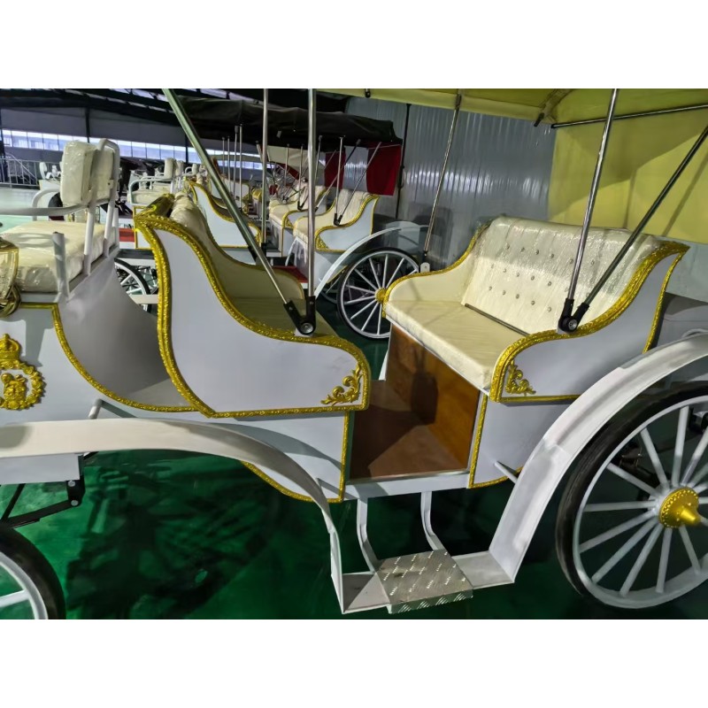 Electric Carriage Factory - Wholesale Theme Park Wedding Sightseeing