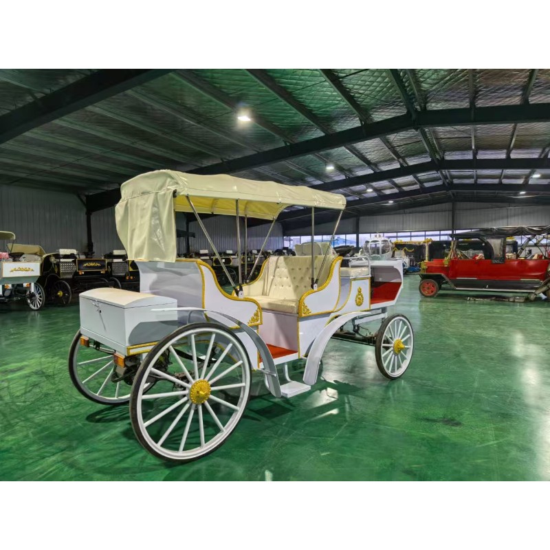 Electric Carriage Factory - Wholesale Theme Park Wedding Sightseeing