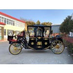 Electric Horse Carriage