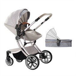 Baby Stroller Manufacturer - Ergonomic Two-way Push Carry Cot