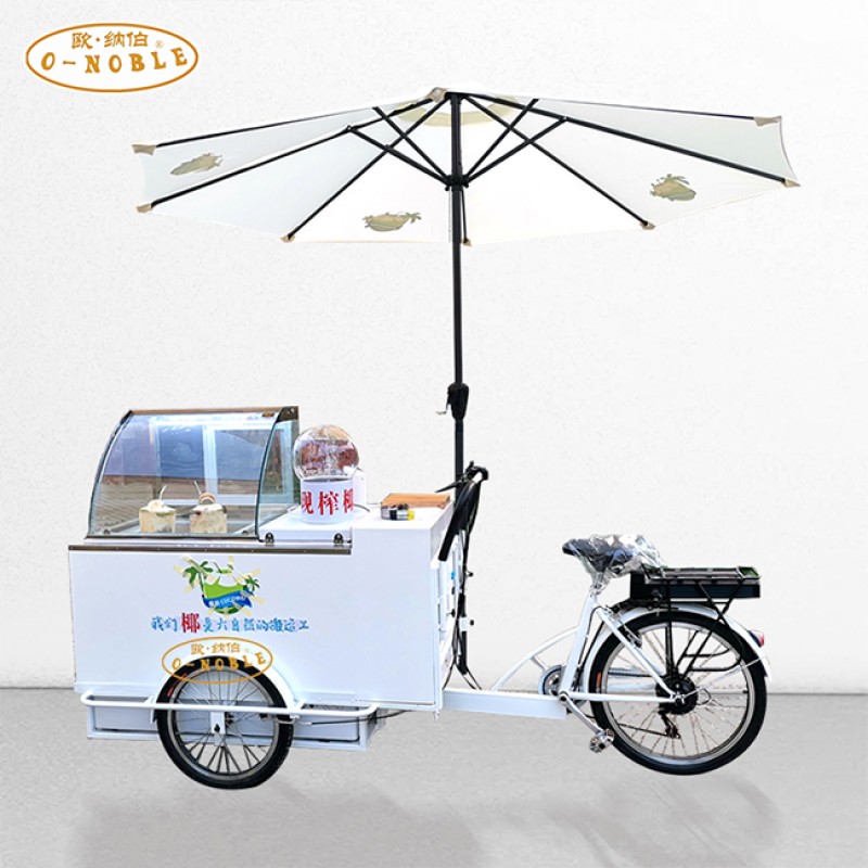 Electric Tricycle Factory - Classical Mobile Business