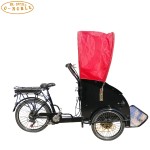 Cargo Bike
