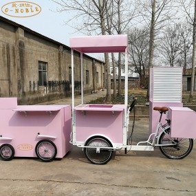 Cotton Candy Bike Factory - Retro Electric Tricycle