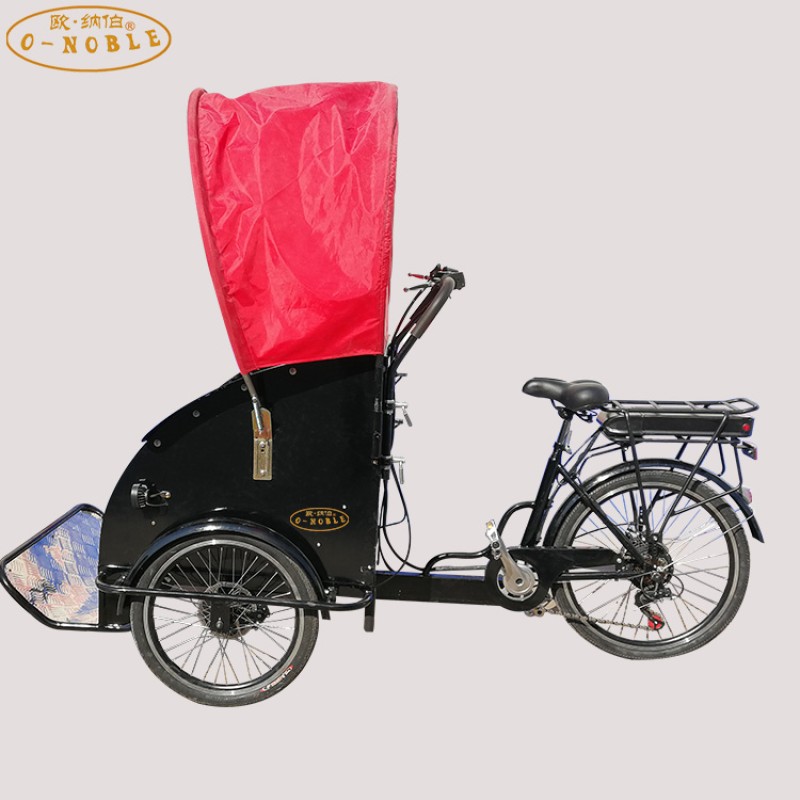 Cargo Bike Factory - 350W Motorized Adult