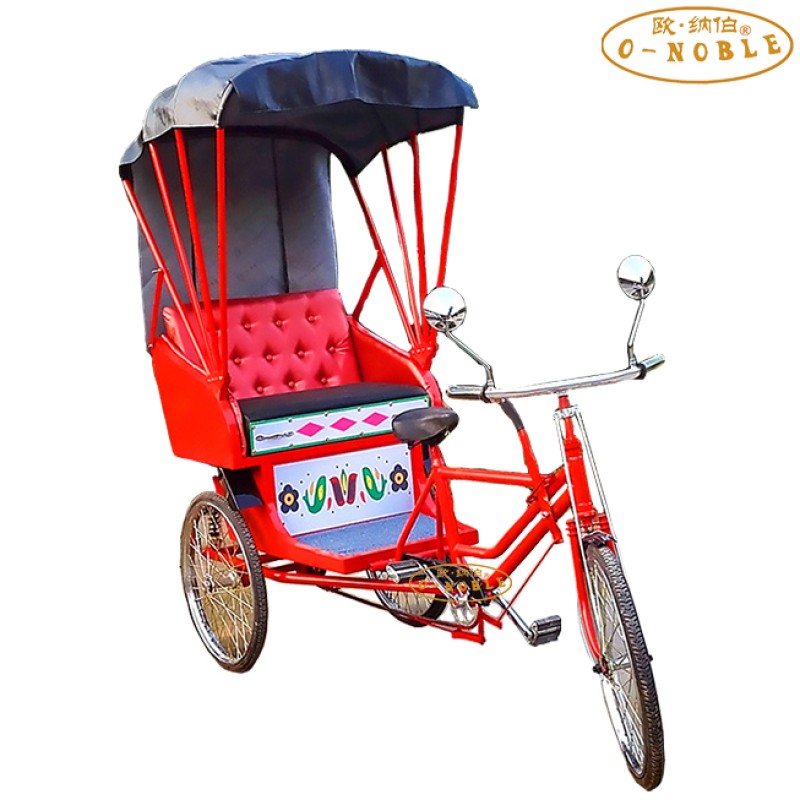 Electric Tricycle Manufacturer - Luxury Adult Rickshaw