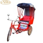Electric Rickshaw Supplier - European Fashionable