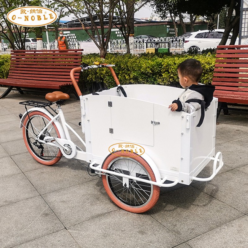 Electric Tricycle Factory - 350W Parent Child