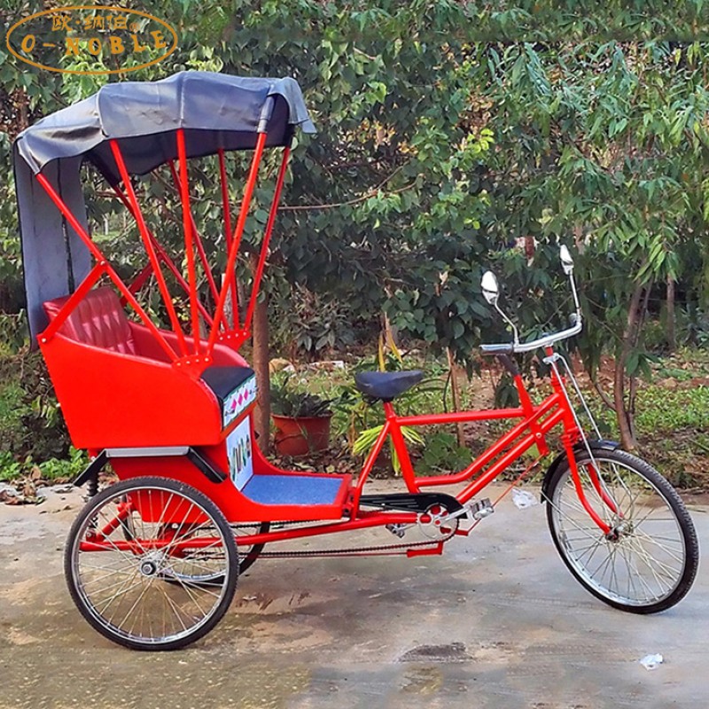 Electric Rickshaw Supplier - European Fashionable