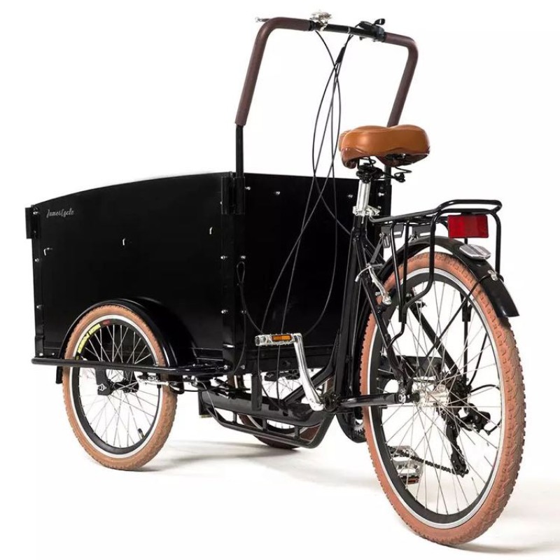 Electric Tricycle Factory - 350W Parent Child