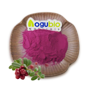 Organic Pure Cranberry Powder Natural Berry Powder Organic Cranberry Juice Powder