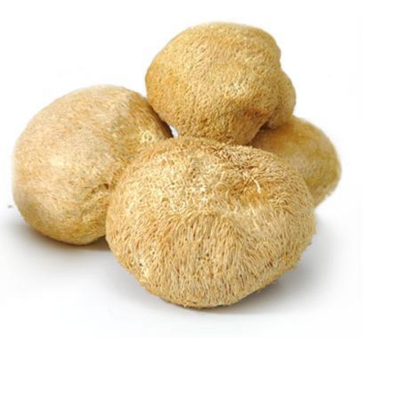 Organic Lion's Mane Mushroom Extract/ Hericium Erinaceus 30% Polysaccharides