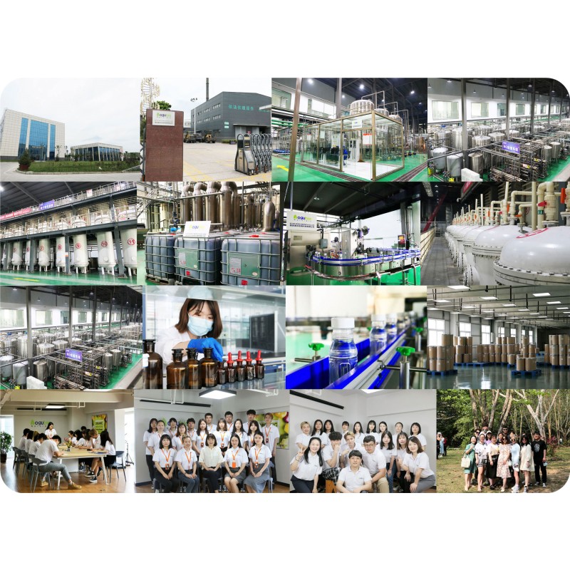 LNT Lentinan 30% 50% Polysaccharide for Food Privated Label Shiitake Mushroom Extract