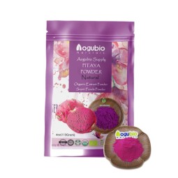 Organic and Natural Red Dragon Fruit Powder Super Food Dragon Fruit Powder