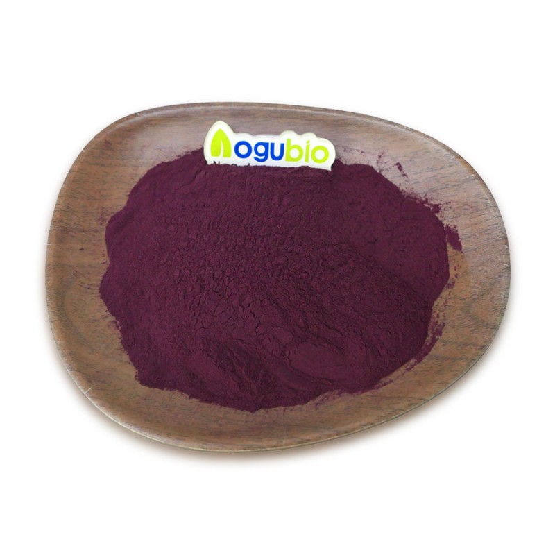 Factory Supply Mulberry Fruit Powder Mulberry Fruit Extract Powder